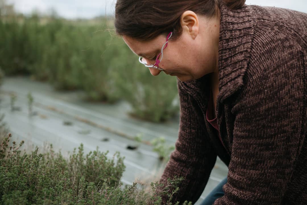 Herboriste cultivant dans son champ